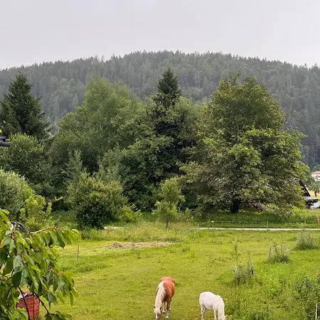 Ferienwohnung, Nahe Dem Faaker Daire *