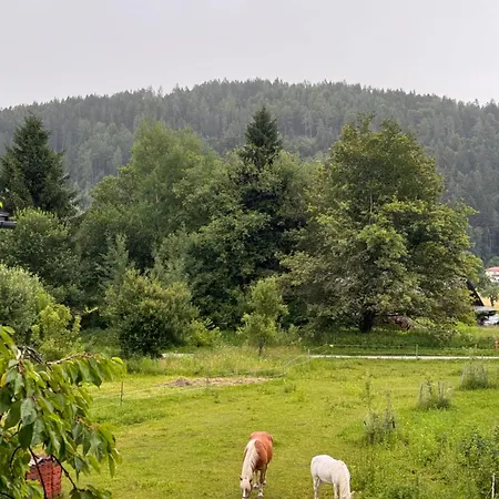 Ferienwohnung, Nahe Dem Faaker Appartement *